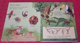 Mi primer libro de animales