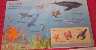 Mi primer libro de animales