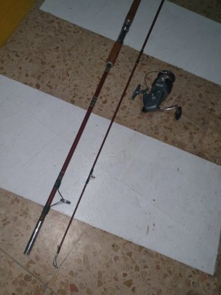 Caña de pesca