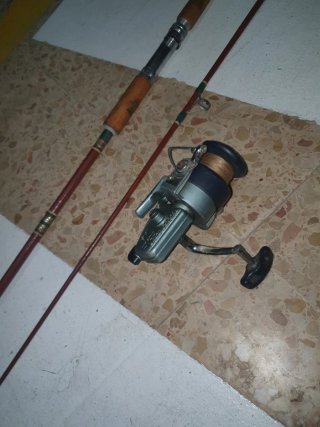 Caña de pesca
