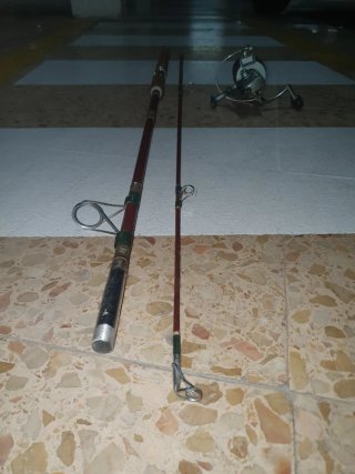 Caña de pesca