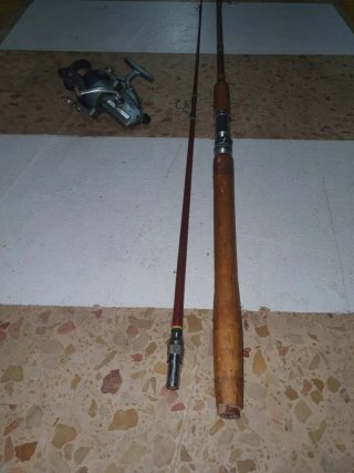 Caña de pesca