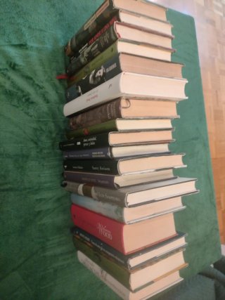 Lote de libros en tapa dura y formato grande (18)