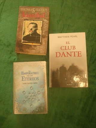 Lote de libros en tapa dura y formato grande (18)