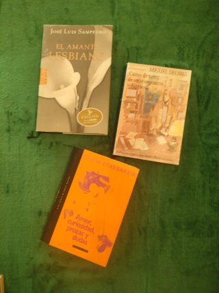 Lote de libros en tapa dura y formato grande (18)