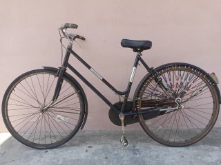 Bici da donna Benotto