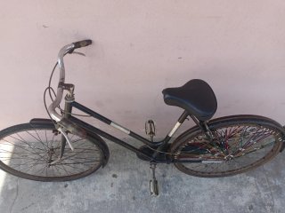Bici da donna Benotto