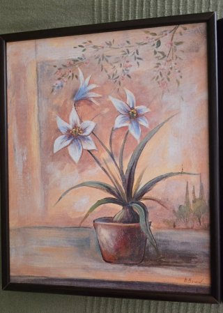 Cuadros Decorativos Florales Set 2
