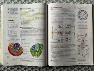 Biología 2 bachillerato Bruño
