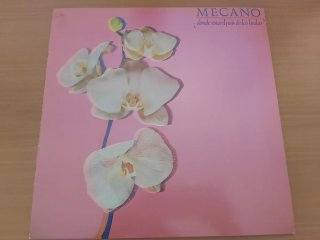 Lote 6 LPs Mecano (ver fotos)