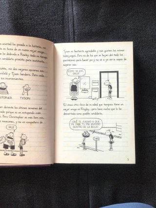 Diario de Greg 5. La cruda realidad
