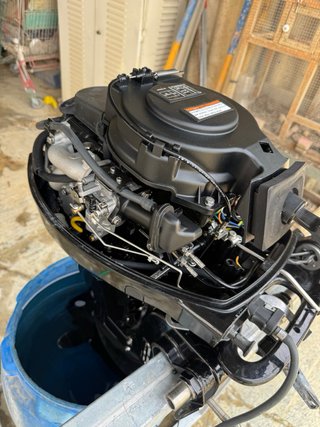 Motor fueraborda 12 CV