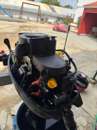 Motor fueraborda 12 CV