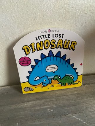 Little Lost Dinosaur (Search & Find) A Prehisto...