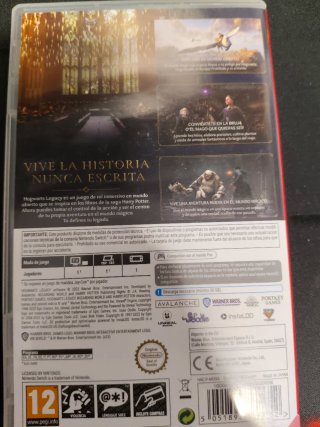 Hogwarts Legacy Nintendo Switch