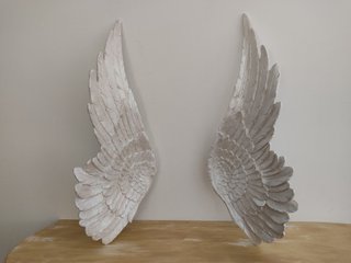 Alas de Ángel