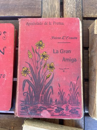 Lote 5 Libri Antichi