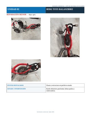 Lote 7 Trikers & Berg Balanzbike