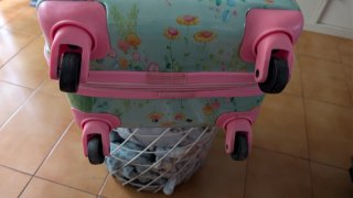Maleta infantil con diseño de princesas