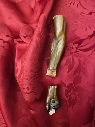 Colección | Cristo de la Expiración (Cachorro).