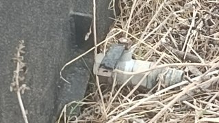 Depósito de agua 2000L metálico