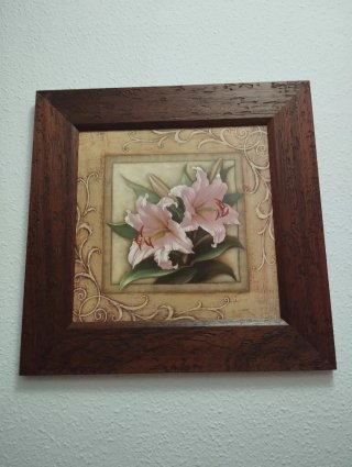 Seis Cuadros Decorativos Flores Rosas y mujeres