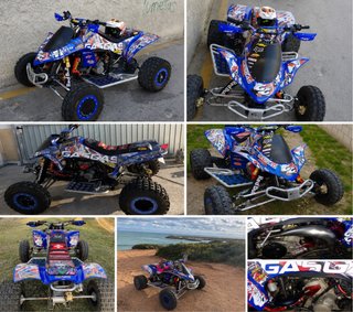 Quad Gas Gas Wild 300 Documentación de 2 plazas