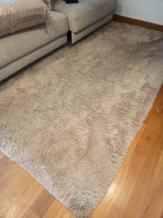 Alfombra de salón beige