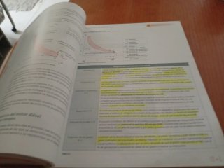Motores
