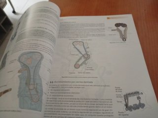 Motores