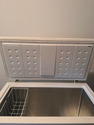 Arcón Congelador EAS Electronic Blanco 200 litros