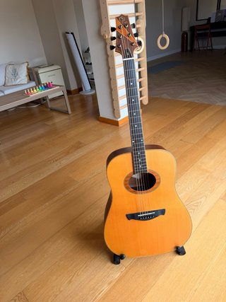 Guitarra acústica Samick