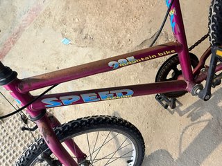 Bicicleta Montaña Speed Racing 985 Clásica