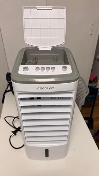 Climatizador Cecotec Portátil Gris/Blanco