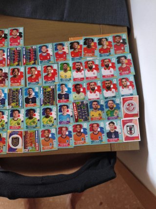 Cambio Cromos Panini del Mundial