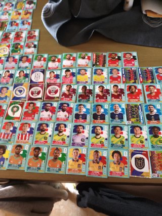 Cambio Cromos Panini del Mundial