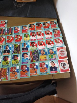 Cambio Cromos Panini del Mundial