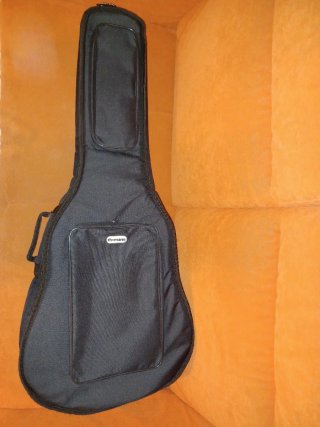 Chitarra Washburn Heritage HJ40sce