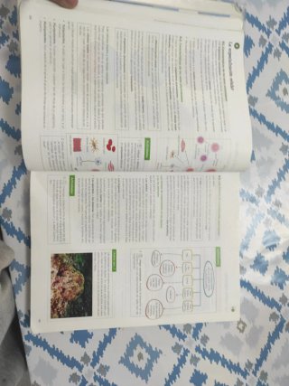 Biología, Geología y Ciencias Ambientales 1 Bach