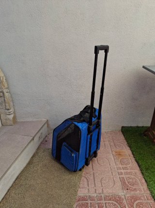 Transportín para mascotas con ruedas