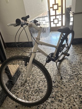 Bicicleta