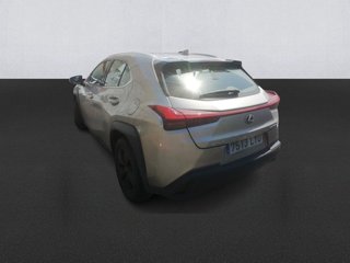 Lexus UX 250h Business 2WD 135 kW (184 CV)