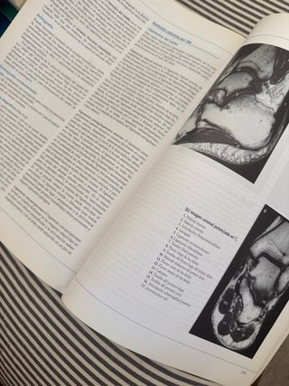 Radiología anatómica