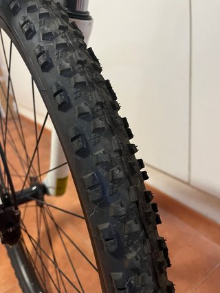 Bicicleta Trek 29” Roja