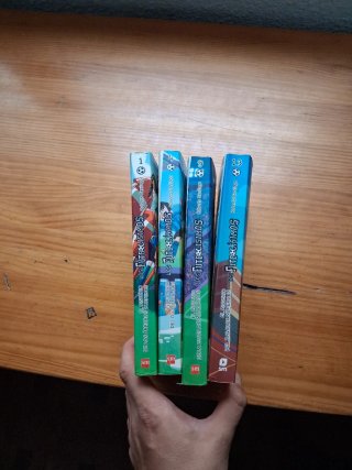 Los libros número 1,4,9 y 13 de los futbolísimos.