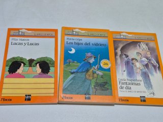 Un Libro El Barco De Vapor- Ala Delta
