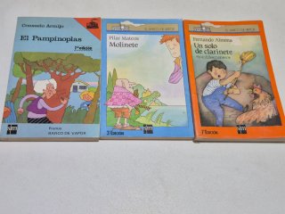 Un Libro El Barco De Vapor- Ala Delta