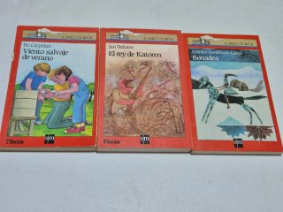 Un Libro El Barco De Vapor- Ala Delta