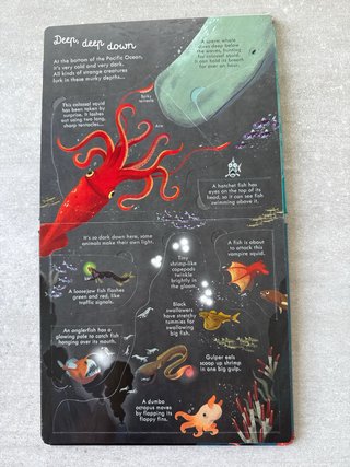 Look Inside Seas and Oceans