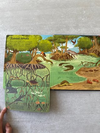 Look Inside Seas and Oceans